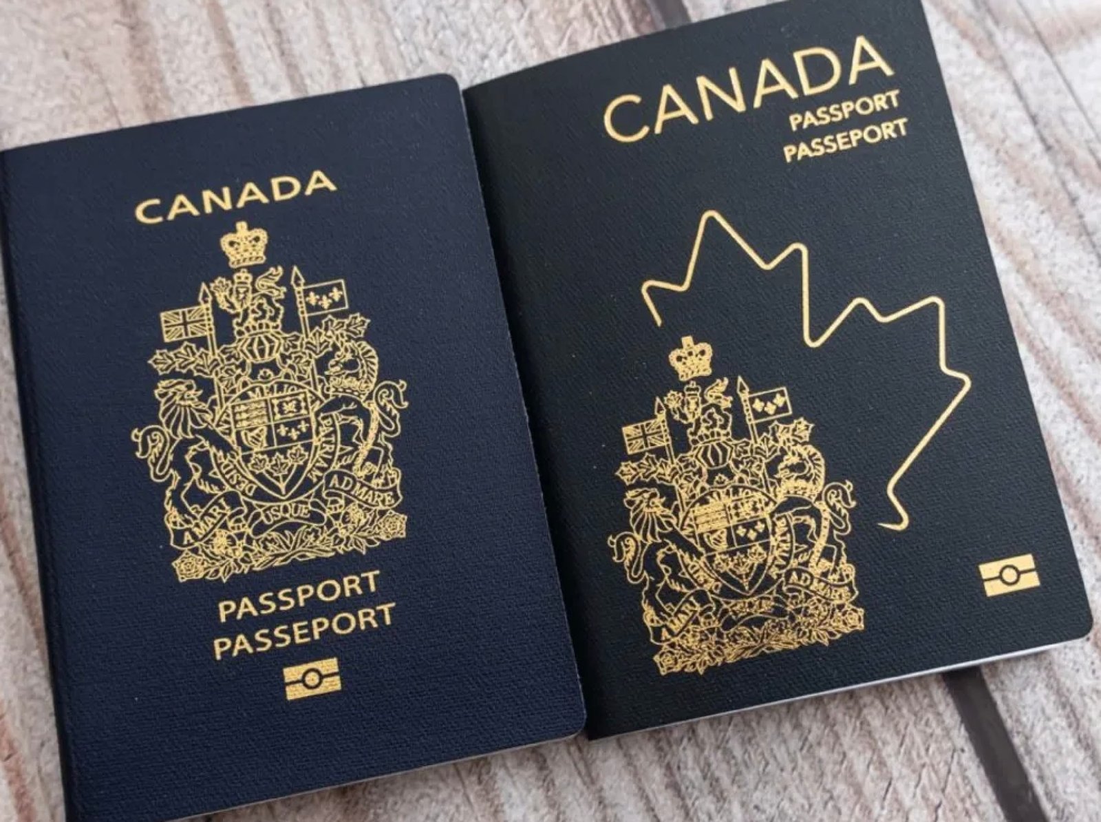 Canadian passports Canadian Passport Renewal Guide 2025