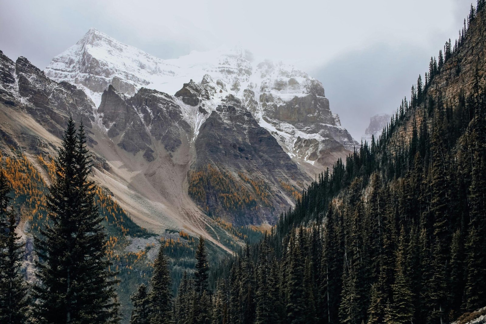 Canada Understanding the Open Work Permit in Canada