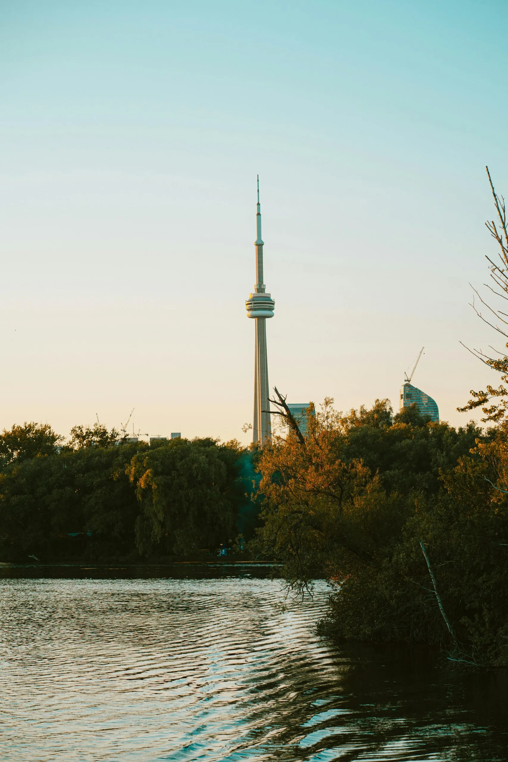 trusted Canadian immigration lawyers in Toronto