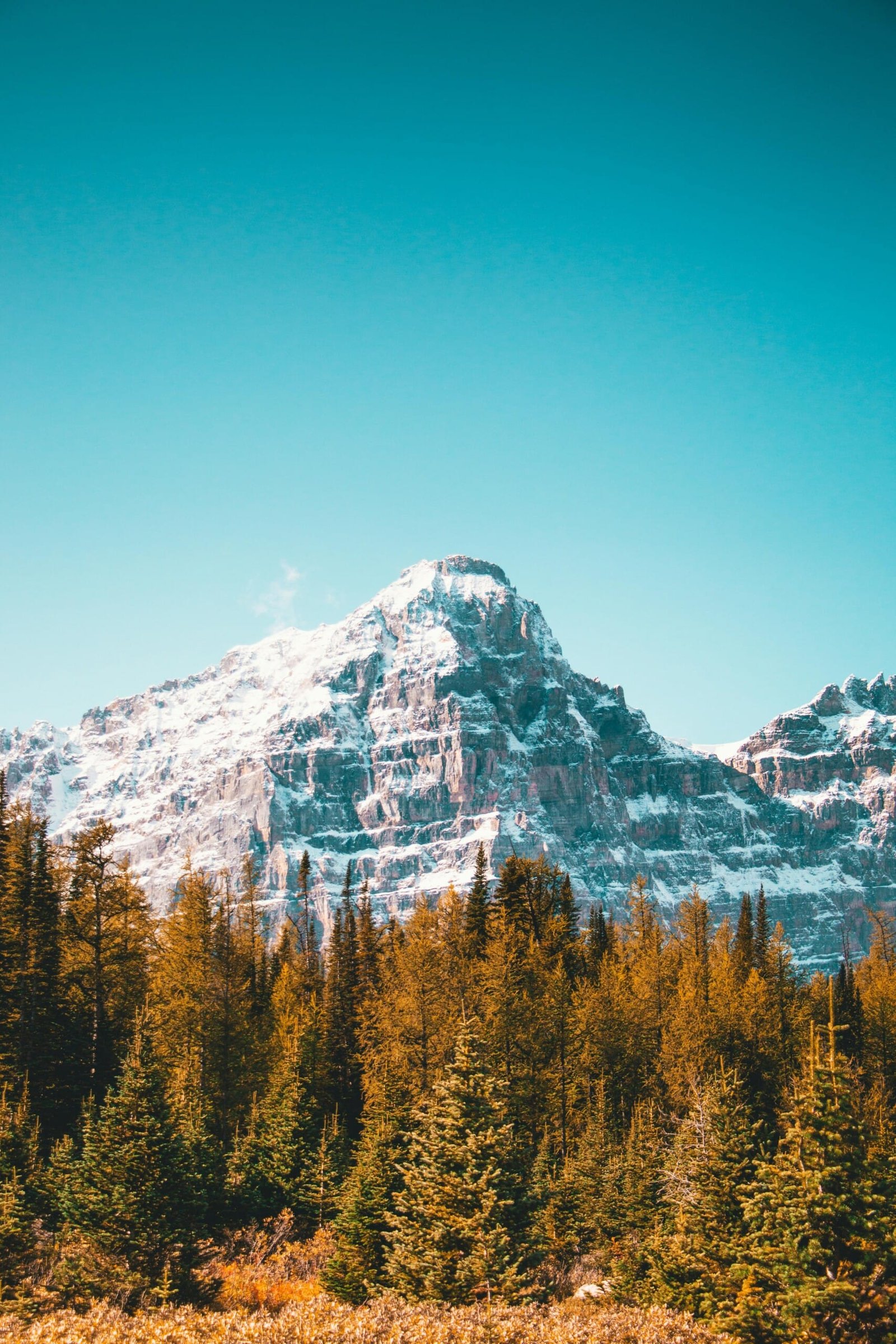 Rural Community Immigration Pilot (RCIP) - Claresholm, Alberta