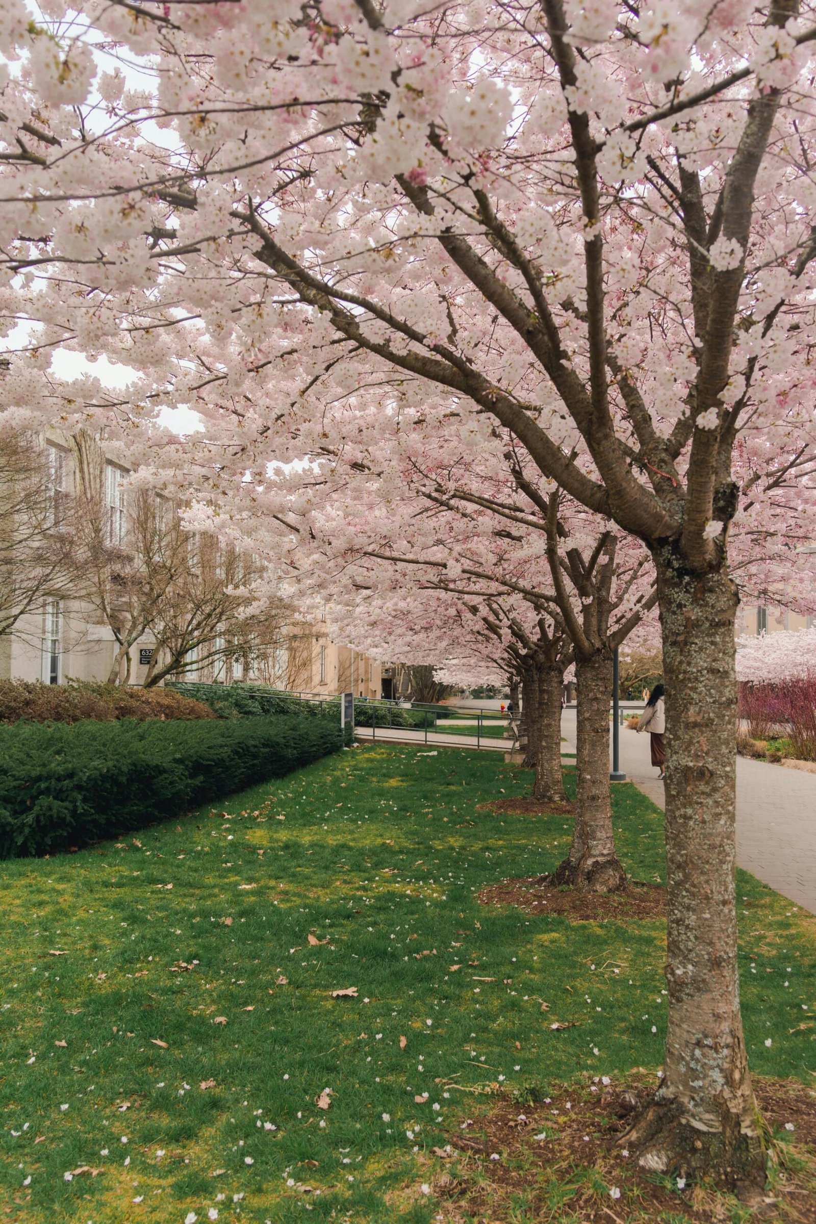 work on-campus in Canada without a work permit 2025
