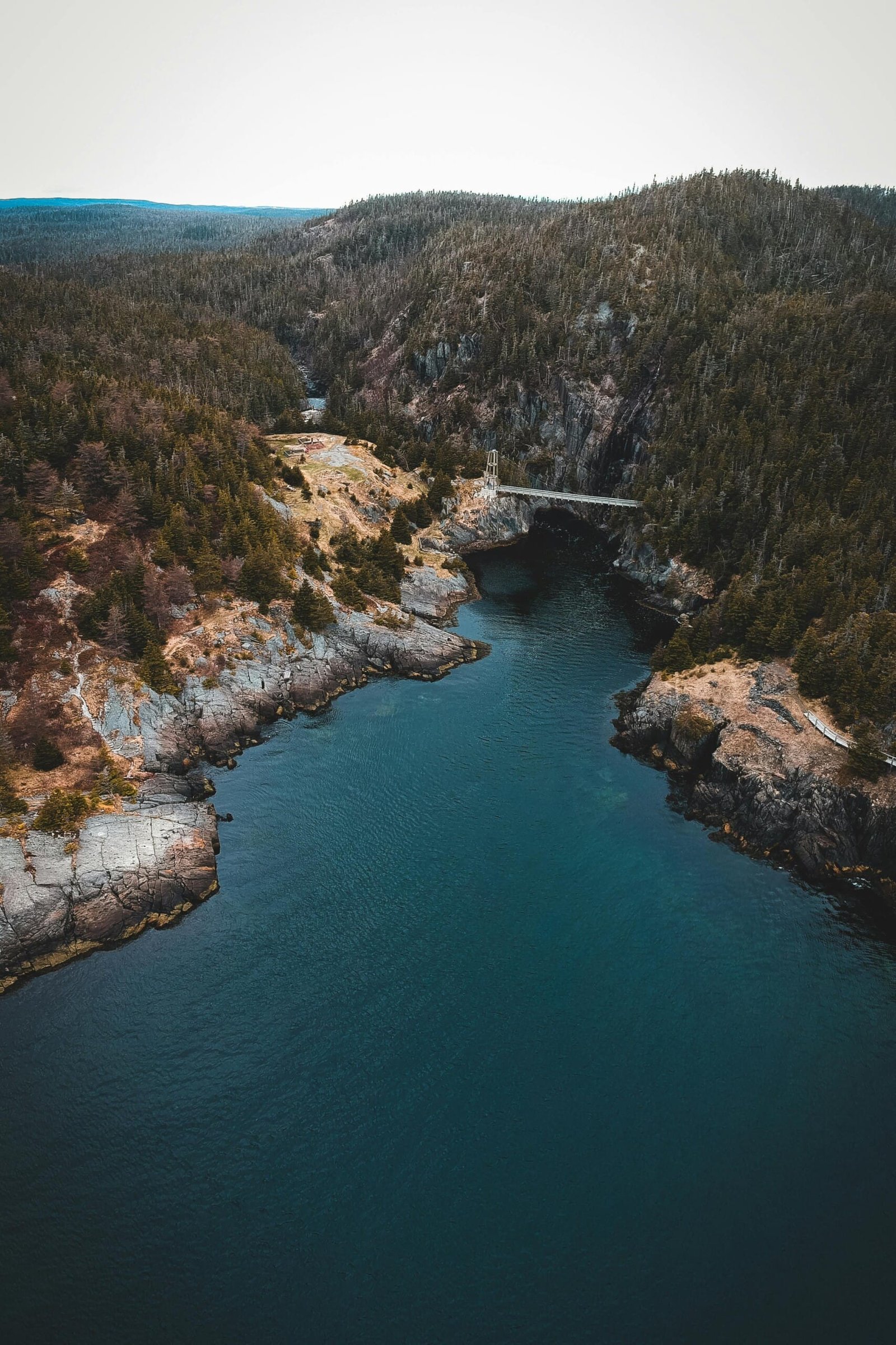 Corporate Immigration Services: How Canadian Businesses Hire and Retain Global Talent in 2025