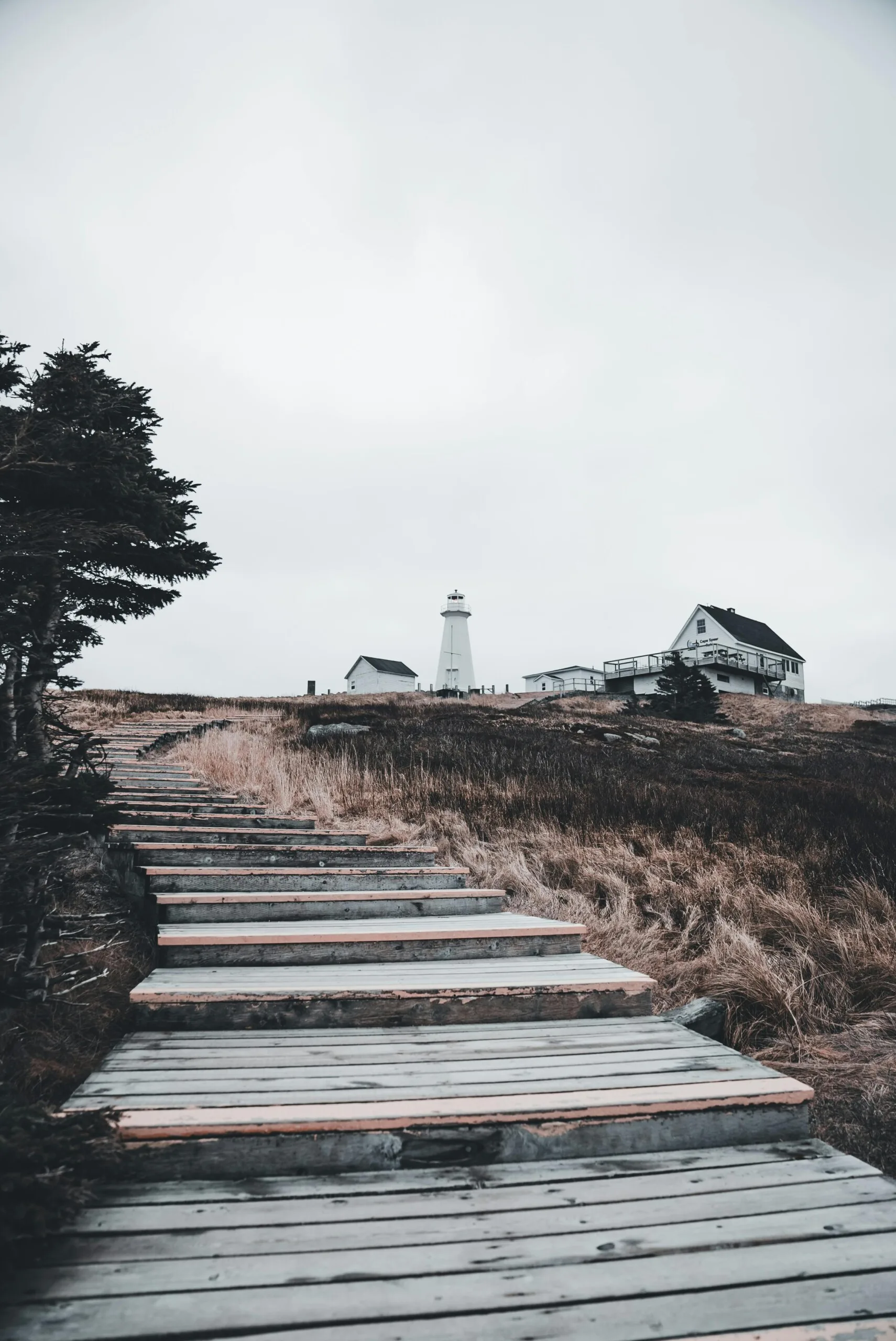 Temporary Resident Visa (TRV) Canada: The Complete 2025 Guide