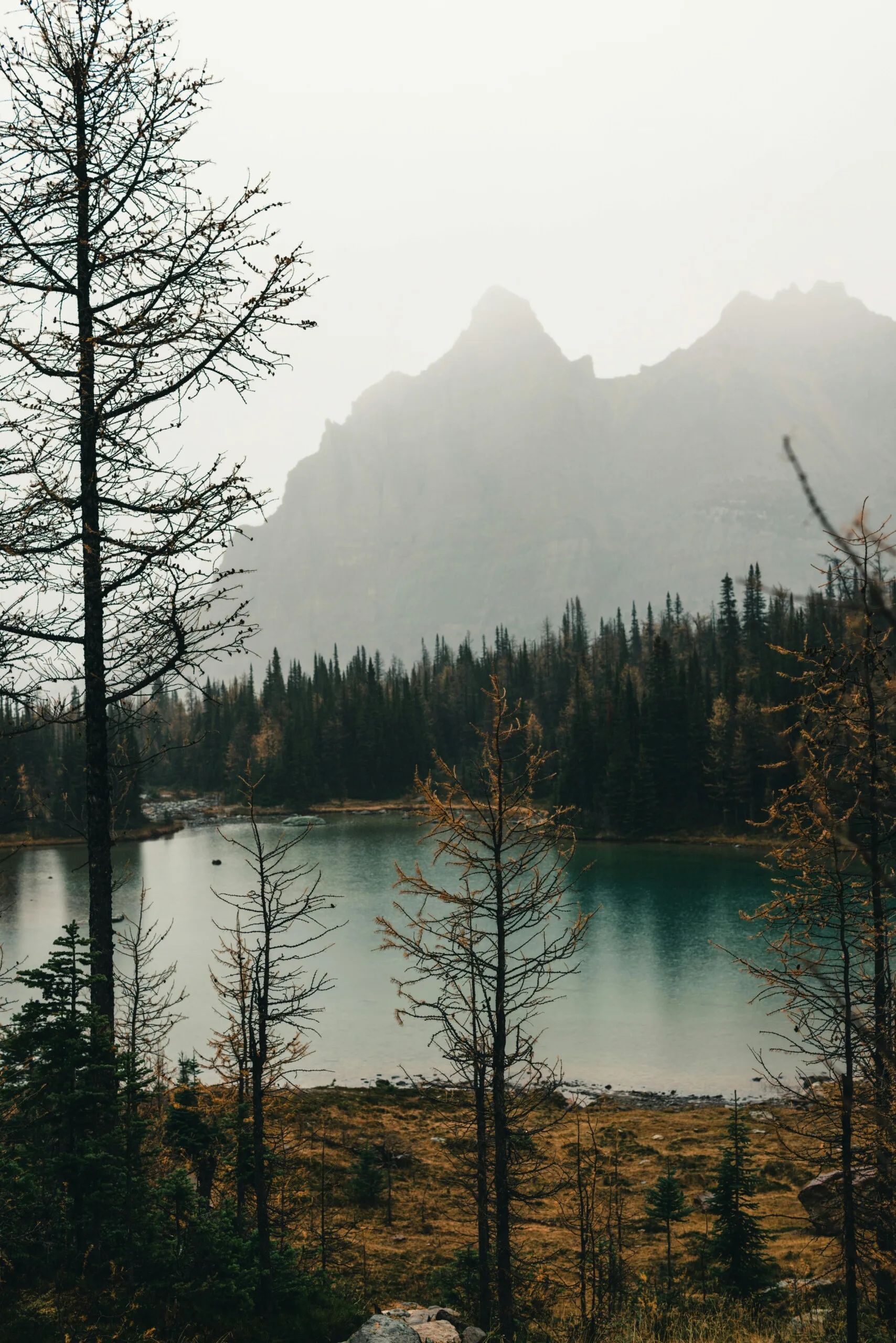 Visitor Record in Canada: When and How to Extend Your Stay Visitor Record in Canada: When and How to Extend Your Stay