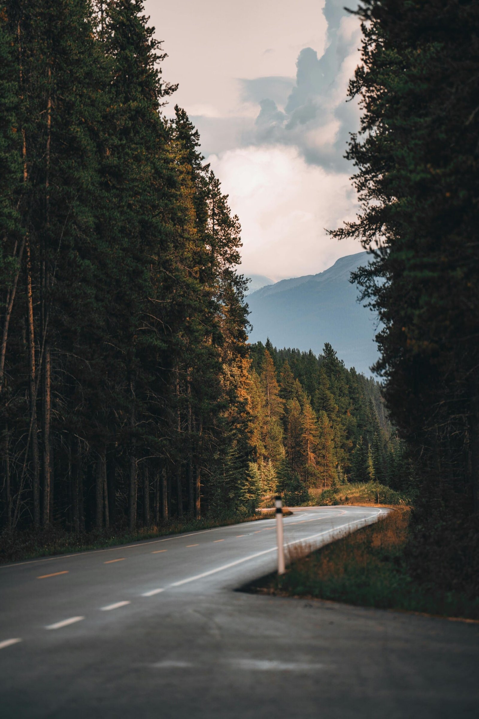 Overcoming Canadian Inadmissibility: Causes, Consequences and Solutions