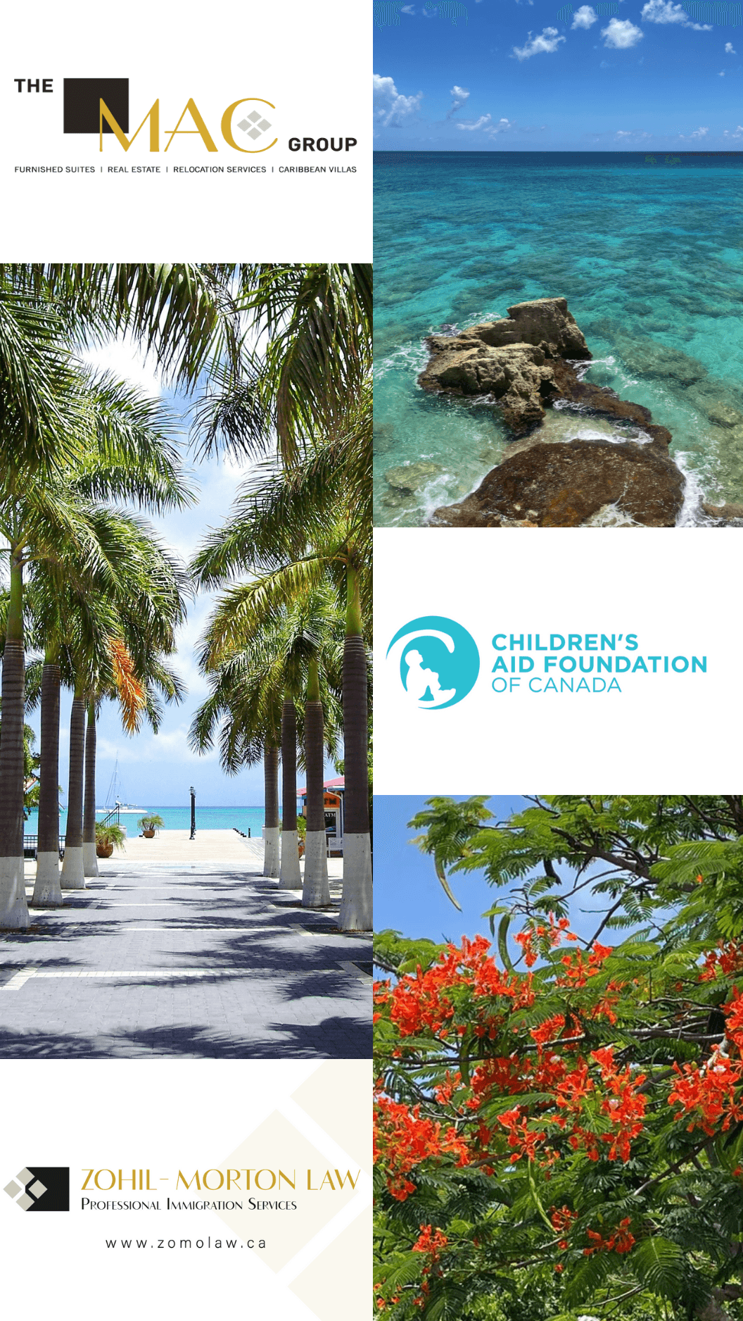 Canadian charity auctions for children Teddy Bear Affair Children's Aid Foundation of Canada