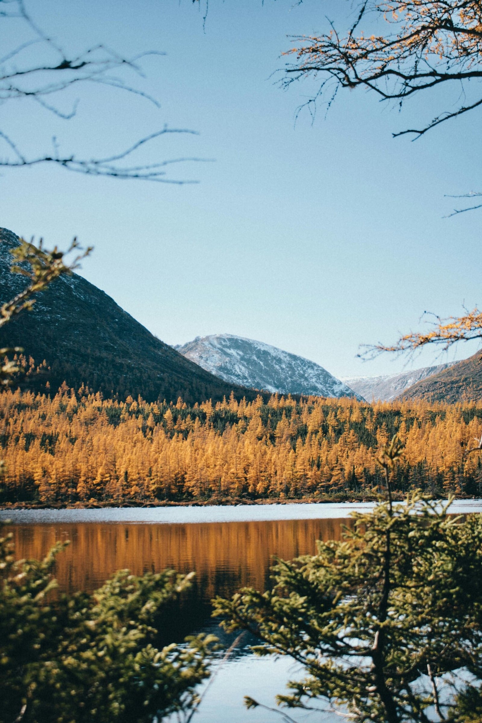 Choosing Between English and French Language Tests for Canadian Immigration