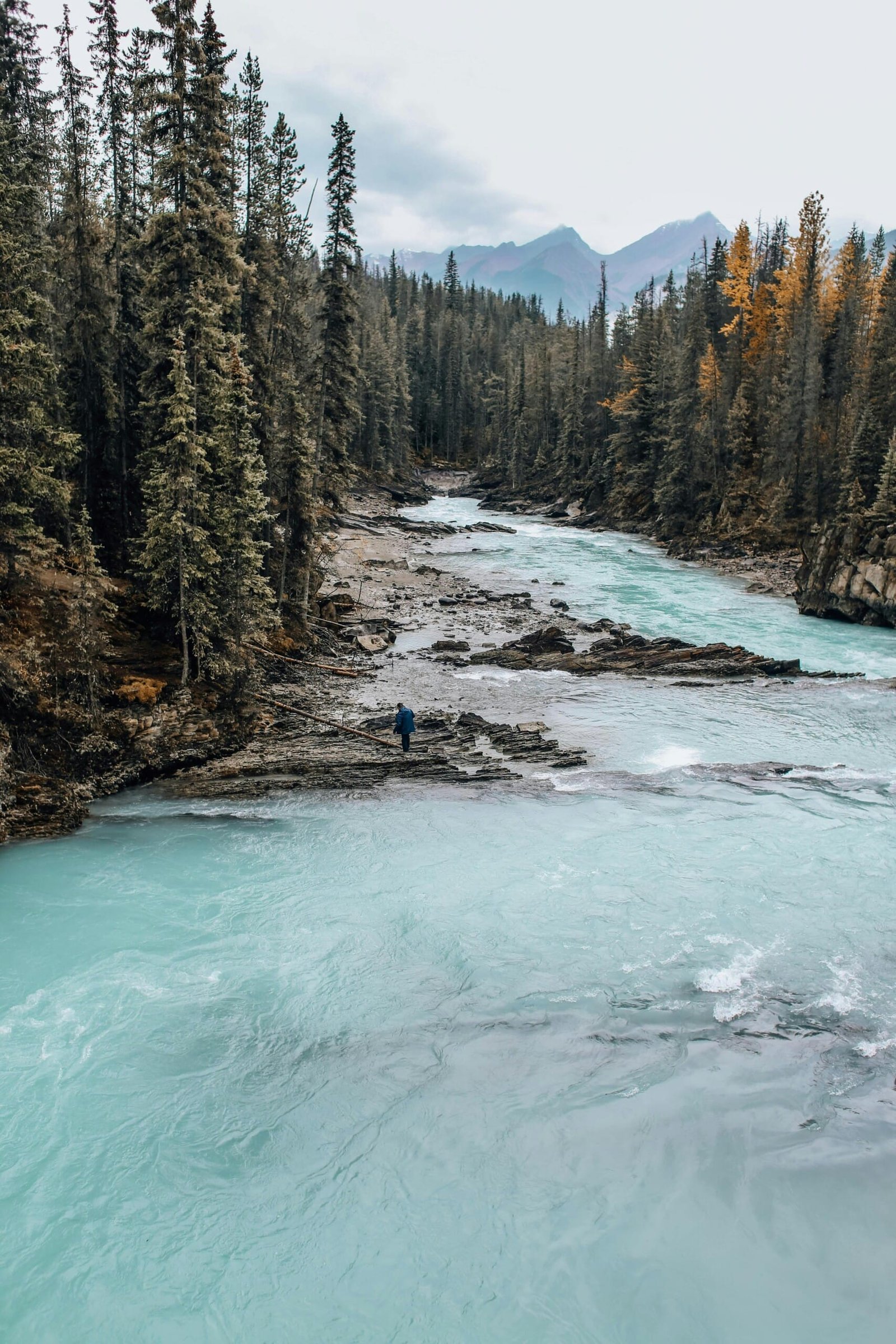 Understanding Canada’s Temporary Resident Visa (TRV) Process