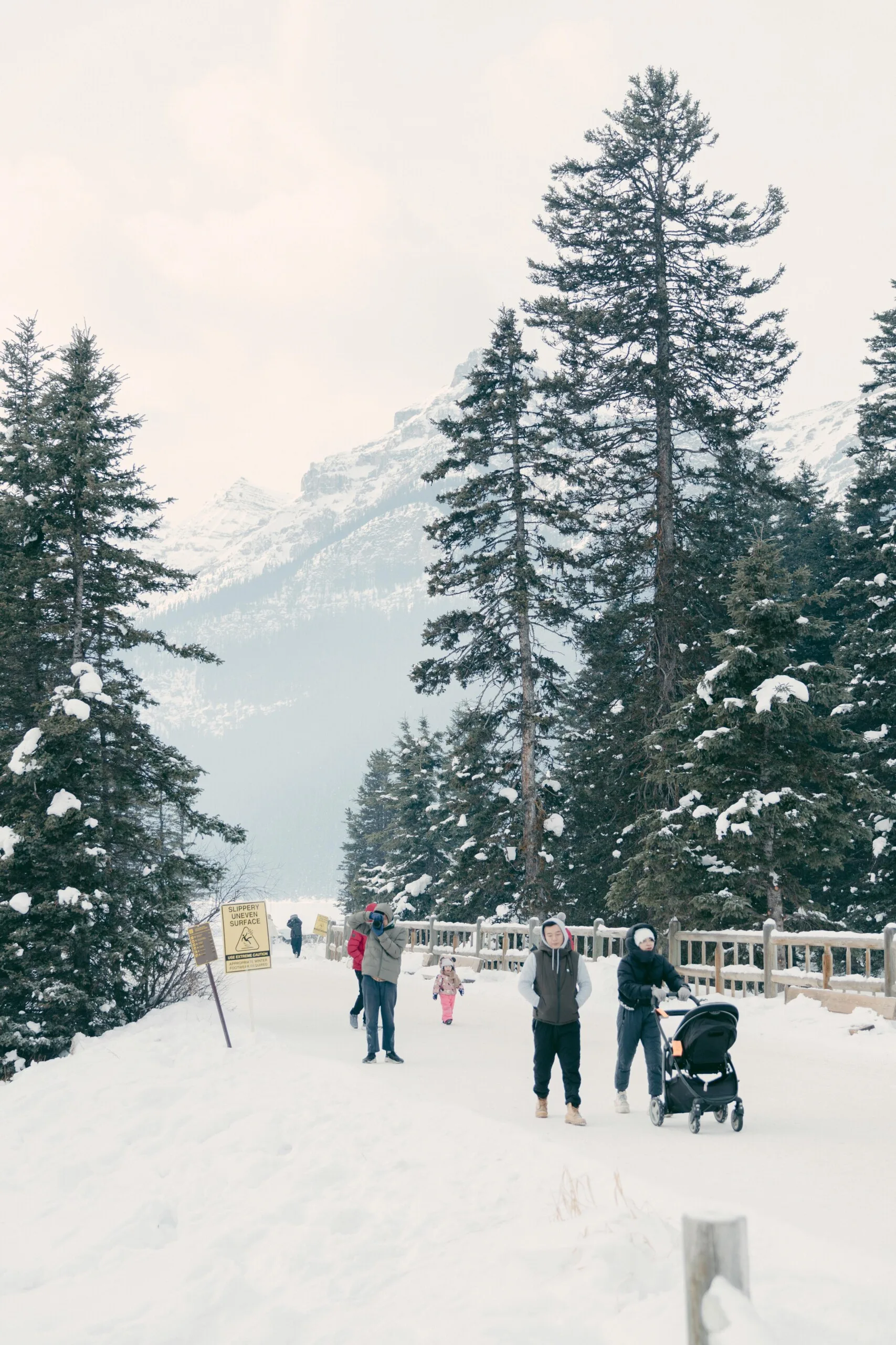 How to Respond to a Procedural Fairness Letter in Express Entry How to Respond to a Procedural Fairness Letter in Express Entry