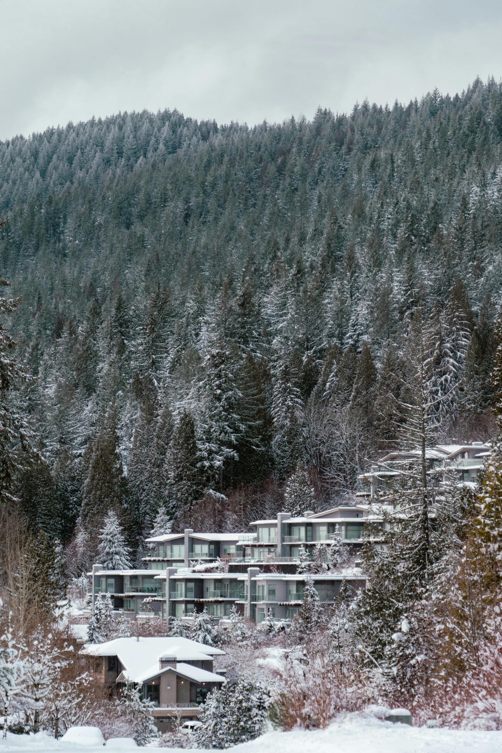 Sponsoring Dependent Children to Canada: Eligibility, Evidence, and Common Refusal Risks