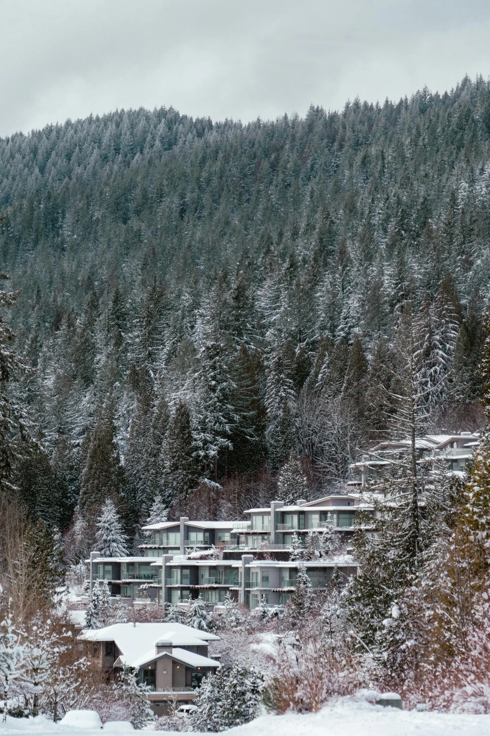 Sponsoring Dependent Children to Canada: Eligibility, Evidence, and Common Refusal Risks