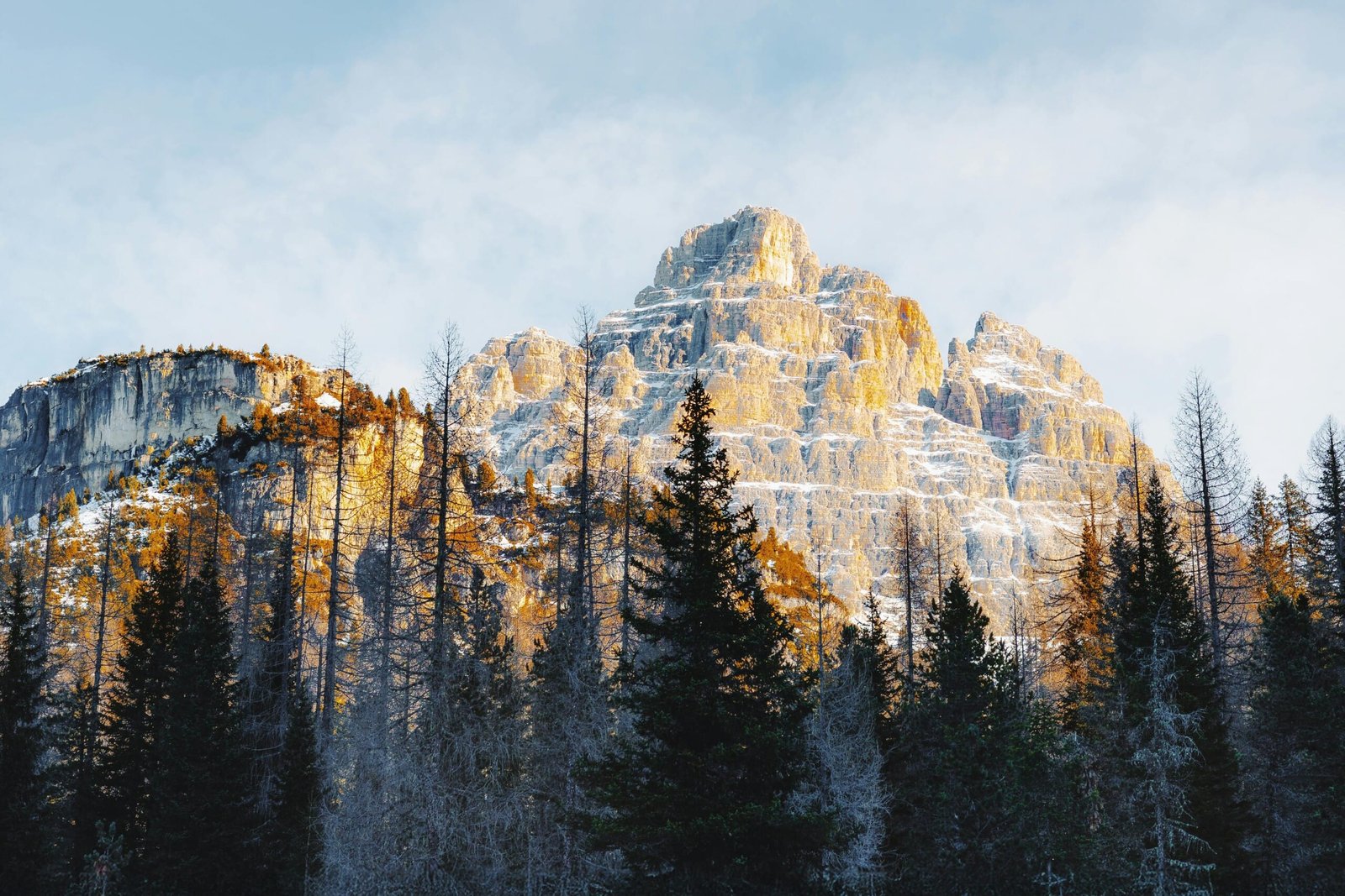 Temporary Foreign Worker Program Canada: Employer Obligations in 2026