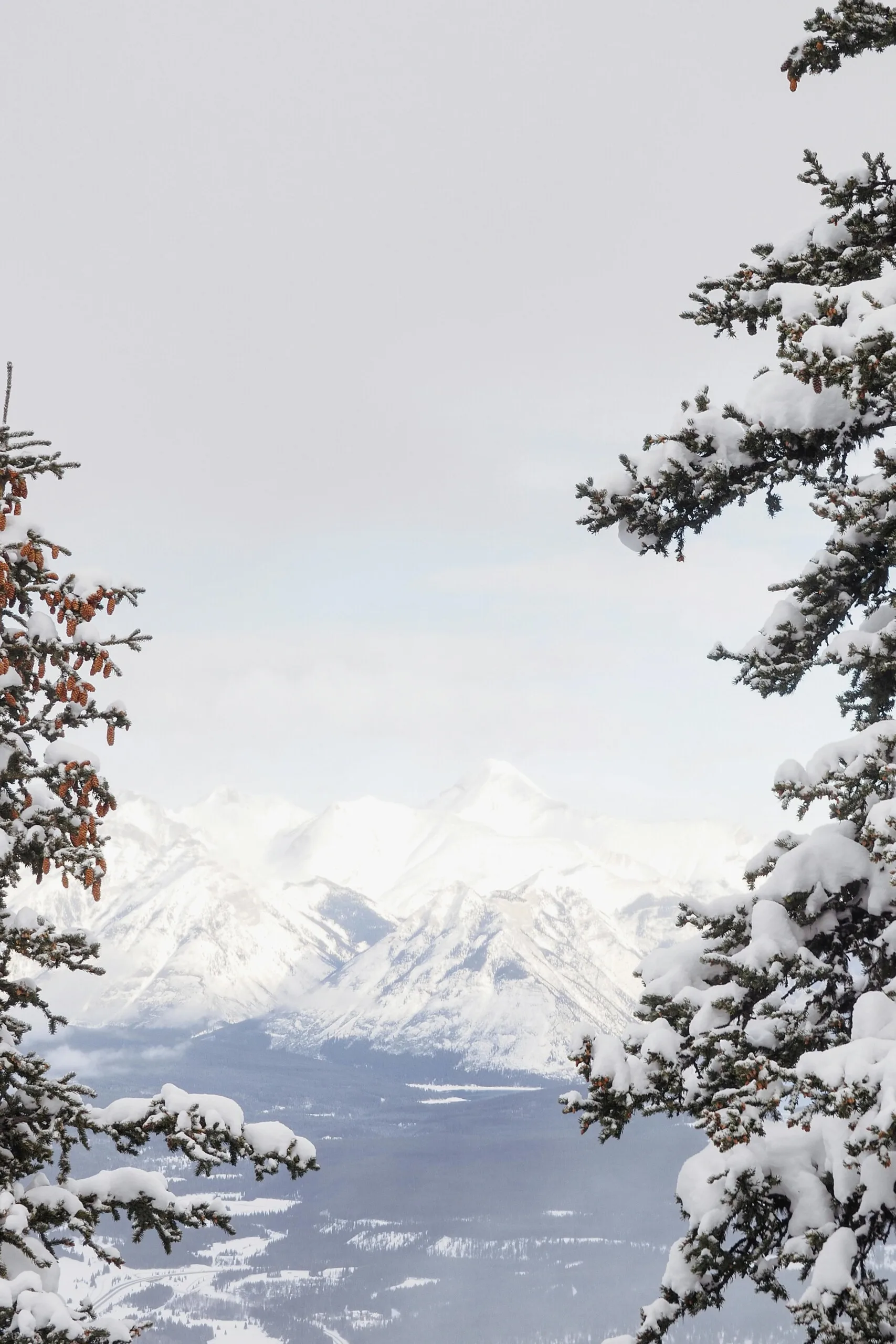 IRCC Employer Audits: Triggers, Process, And Consequences For Canadian Employers (2026)