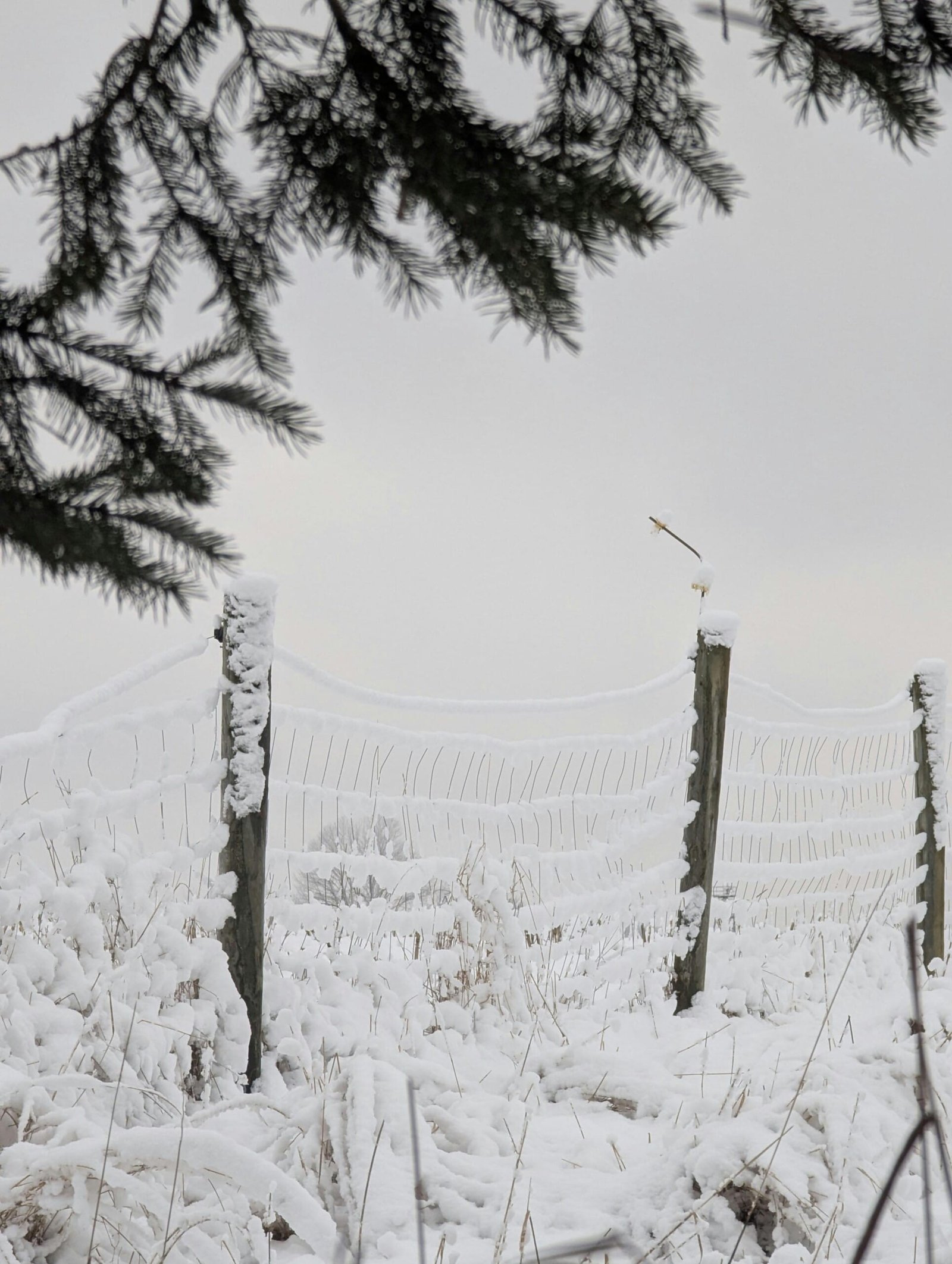 Visitor Visas And Temporary Resident Visas To Canada: What Applicants Need To Know (2026)