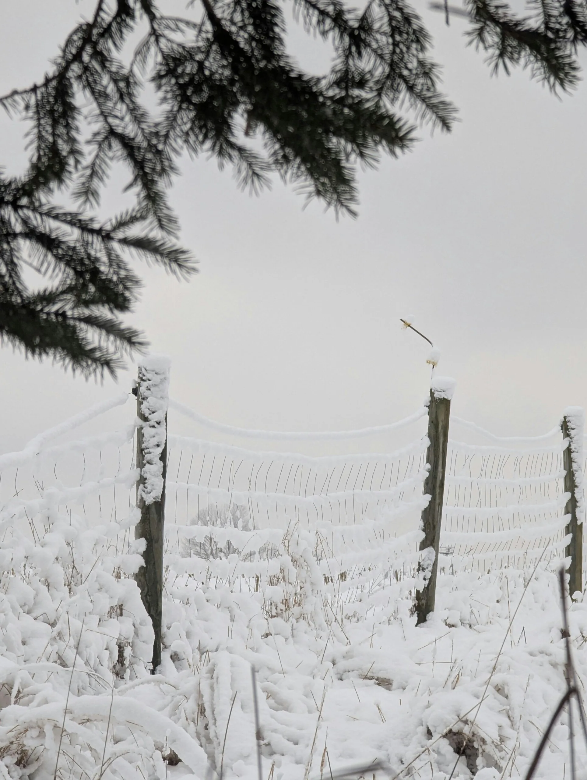 Visitor Visas And Temporary Resident Visas To Canada: What Applicants Need To Know (2026)