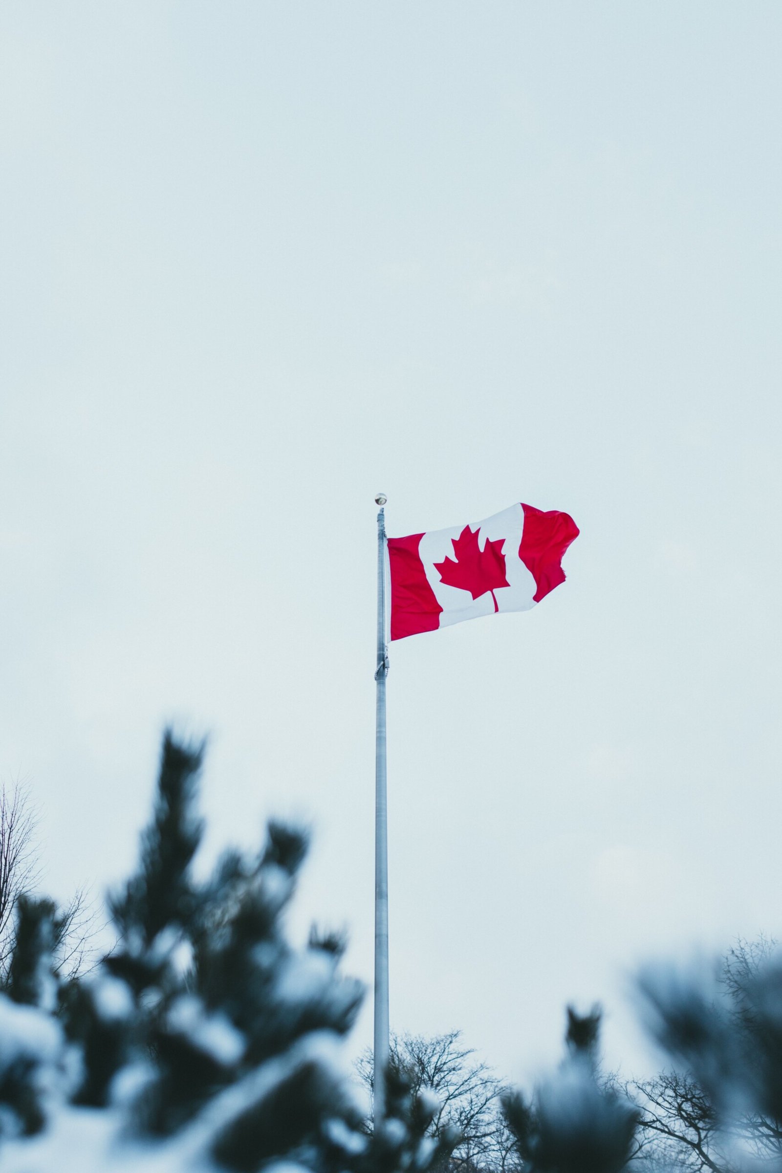 Canada Day And Canadian Immigration: Building A Stronger Future In Canada